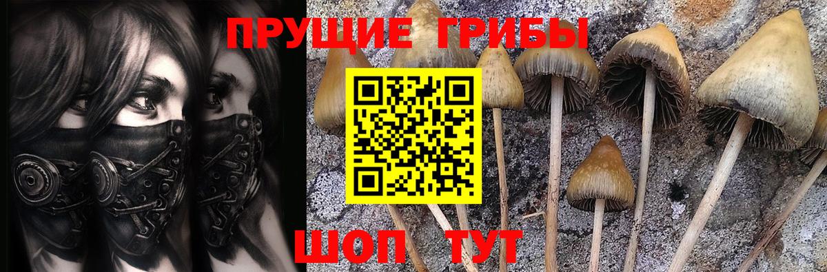 Гашиш Луга