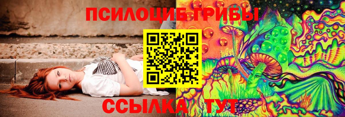 Псилоцибиновые грибы мухоморы Луга