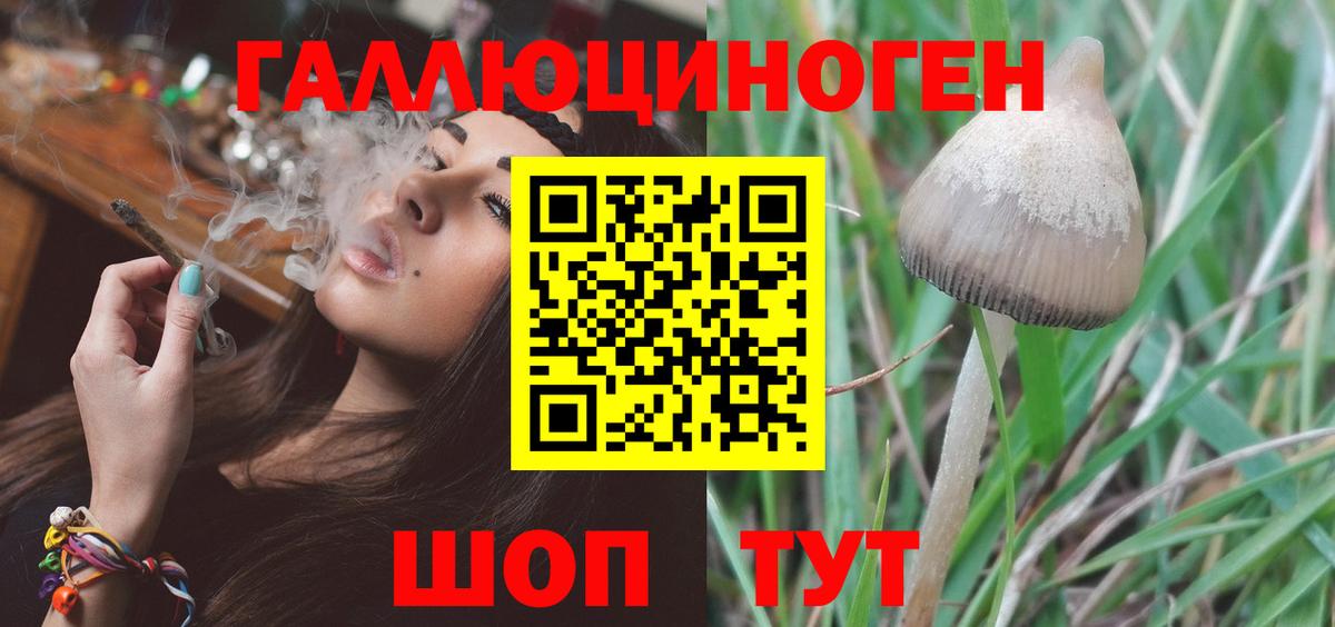 Псилоцибиновые грибы GOLDEN TEACHER  Галлюциногенные грибы мицелий  Вход с VPN  Луга 